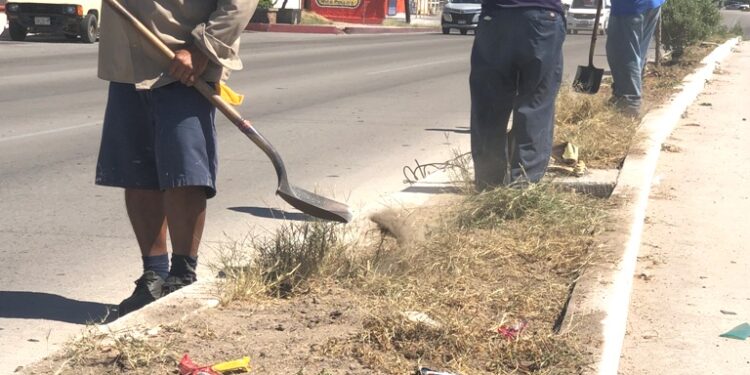 Finaliza Servicios Públicos la semana de trabajos de barrido masivo en la ciudad