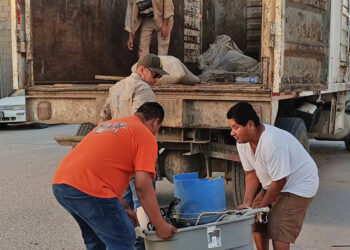 DESARROLLA SALUD ESTATAL JORNADAS DE DESCACHARRIZACIÓN EN COLONIAS DE LOS CABOS&nbsp;•&nbsp;Con el objetivo de eliminar criaderos artificiales del mosco&nbsp;transmisor del dengue
