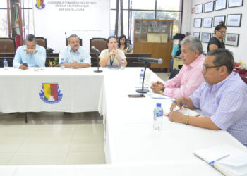 Analizan iniciativa ciudadana para castigar coacción de menores