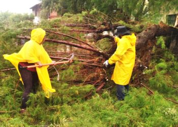 Realiza Servicios Públicos trabajos de limpieza tras paso del huracán “Norma”