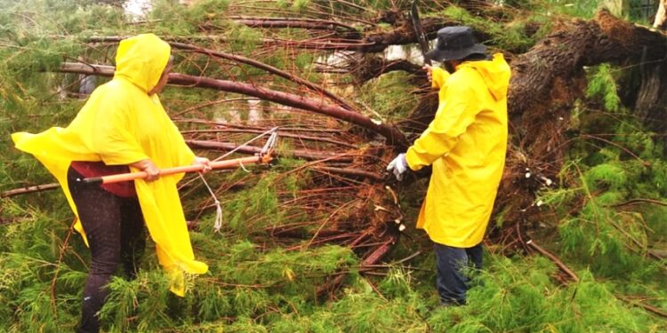 Realiza Servicios Públicos trabajos de limpieza tras paso del huracán “Norma”