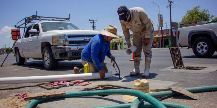 Se atendieron 256 fugas por el OOMSAPAS La Paz, en el transcurso del 16 al 22 de octubre del 2023