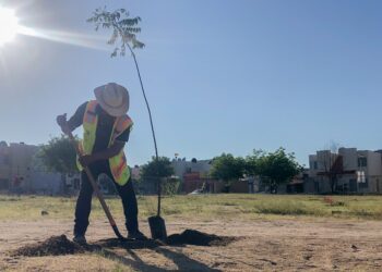 Se suma Servicios Públicos a la jornada de reforestación en el CECYT 08 de Camino Real