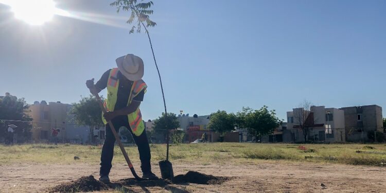 Se suma Servicios Públicos a la jornada de reforestación en el CECYT 08 de Camino Real