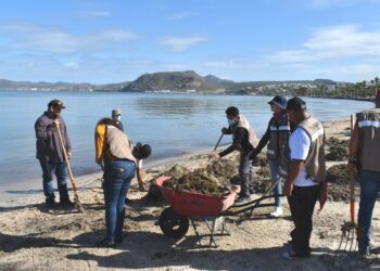 Se unen ciudadanos, comerciantes y gobierno municipal en la limpieza del Malecón de La Paz