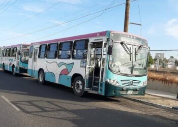 Policía Municipal implementará “Operativo Halloween 2023” realizarárecorridos de seguridad por colonias y plazas comerciales• Dejarán un solo camión por ruta del transporte Urbano de La Paz, el resto delservicio se suspenderá a las 19:00 horas.