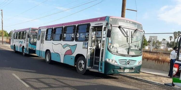 Policía Municipal implementará “Operativo Halloween 2023” realizarárecorridos de seguridad por colonias y plazas comerciales• Dejarán un solo camión por ruta del transporte Urbano de La Paz, el resto delservicio se suspenderá a las 19:00 horas.