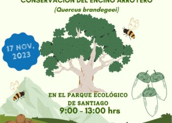 “Salvemos el Encino Arroyero”