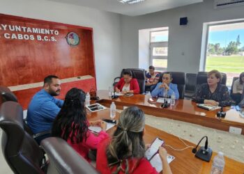 Comité establecerá las directrices para que los trabajos implementados sean apegados a los mandatos establecidos por el Tribunal Estatal Electoral del Estado de Baja California Sur
