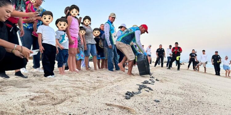 “Una Luz en mi Vida”