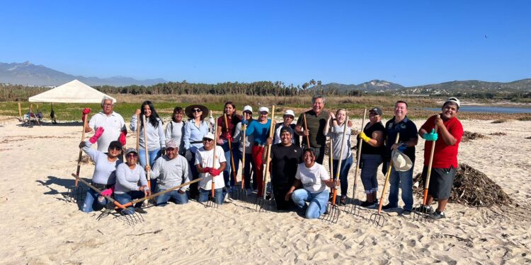 Dando puntual seguimiento al retiro de lirio acuático esparcido en la playa que colinda con la bocana