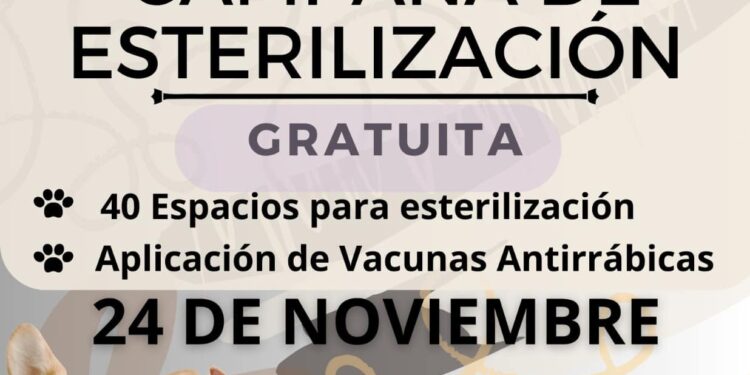 Se realizará este viernes 24 de noviembre una campaña gratuita de esterilización canina y felina.