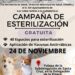 Se realizará este viernes 24 de noviembre una campaña gratuita de esterilización canina y felina.
