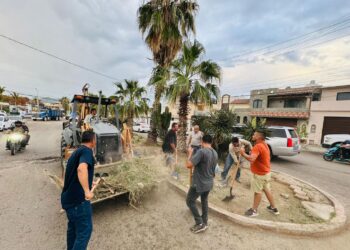 Intensifican las labores de limpieza con jornadas vespertinas