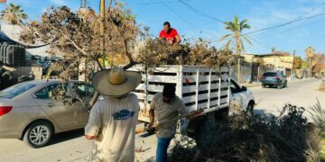 Continúan los trabajos de limpieza