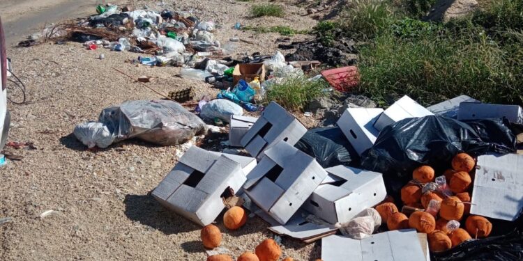 La Coordinación Municipal de la Zona Federal Marítimo Terrestre de Los Cabos (Zofemat), mantiene acciones permanentes enfocadas a la promoción de valores ambientales y cuidado del entorno.