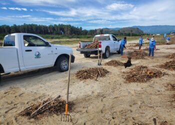 Se realizo una productiva jornada de limpieza en la playa El Surgidero, logrando retirar 12 toneladas de residuos, así como 500 kilos de materiales plásticos