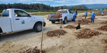 Se realizo una productiva jornada de limpieza en la playa El Surgidero, logrando retirar 12 toneladas de residuos, así como 500 kilos de materiales plásticos