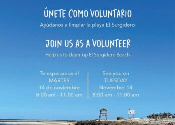 Se realizará una campaña de limpieza en la playa El Surgidero, ubicada en la delegación de La Ribera.
