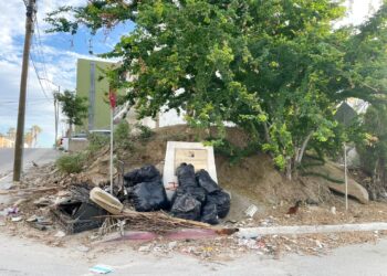 De forma continua se activan estrategias para regular los predios baldíos que se encuentran en el abandono, a fin de evitar condiciones de insalubridad e inseguridad para la población