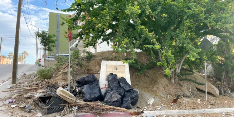 De forma continua se activan estrategias para regular los predios baldíos que se encuentran en el abandono, a fin de evitar condiciones de insalubridad e inseguridad para la población