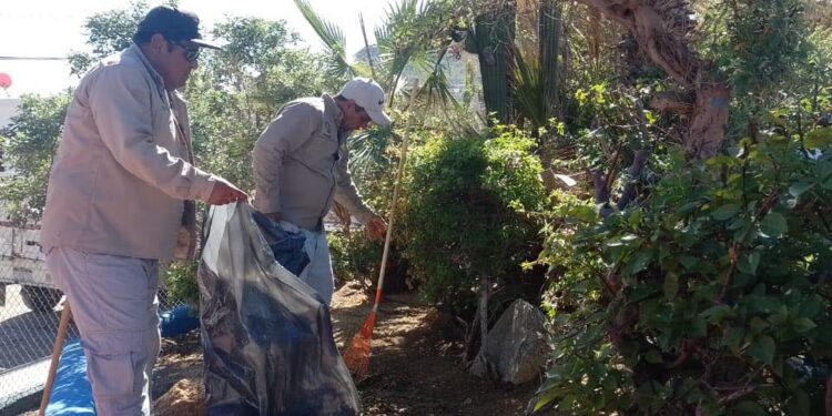 Leonel Leyva Luna, lleva a cabo trabajos de mantenimiento en parques y jardines