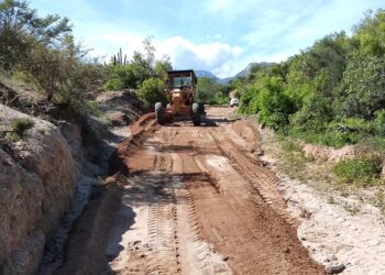 Servicios Públicos en la zona rural que encabeza Alejandro Marrón continúa impulsando jornadas de limpieza en las delegaciones