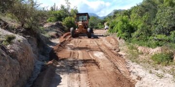 Servicios Públicos en la zona rural que encabeza Alejandro Marrón continúa impulsando jornadas de limpieza en las delegaciones