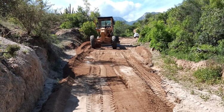 Servicios Públicos en la zona rural que encabeza Alejandro Marrón continúa impulsando jornadas de limpieza en las delegaciones