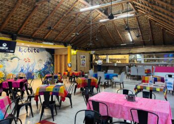 Se realizó un recorrido por distintos comercios, con el fin de verificar que todas las personas dueñas de empresas cumplan con lo establecido en la ley municipal, y mantengan su operación. 