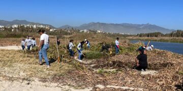 Tras abrirse la bocana de manera natural se expulsó aproximadamente un 80% del lirio acuático de la Reserva Ecológica