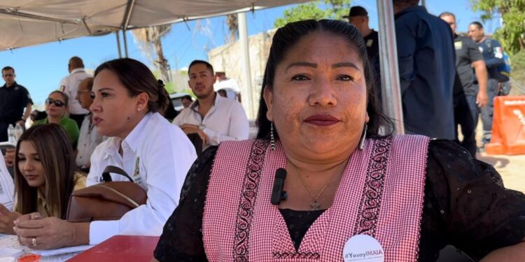 Se lleva a cabo acciones encaminadas a fomentar la cultura entre la comunidad infantil