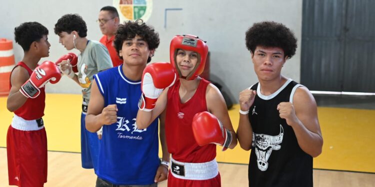 El pasado viernes 10, sábado 11 y domingo 12 de noviembre se realizaron las eliminatorias de boxeo para los próximos Juegos Nacionales CONADE 2024