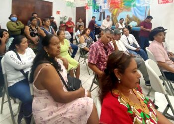 Etnias que tendrán la representatividad en el Consejo Consultivo del Instituto Municipal de Asuntos Indígenas y Afromexicanos de Los Cabos