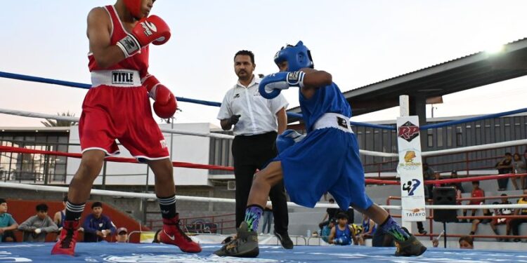 Ya se encuentra todo listo para que este 10 de noviembre inicien las eliminatorias municipales de boxeo