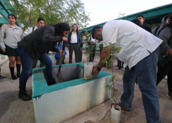 Maestrantes de la UABCS promueven cuidado ambiental entre estudiantes de preparatoria