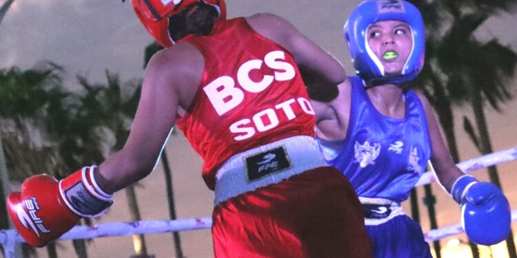 Realizarán Municipal de Box en el Parque Los Mangos