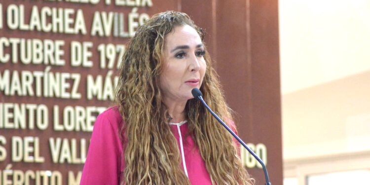 Presenta Diputada Eda Palacios reformas a 8 leyes estatales para combatir feminicidios