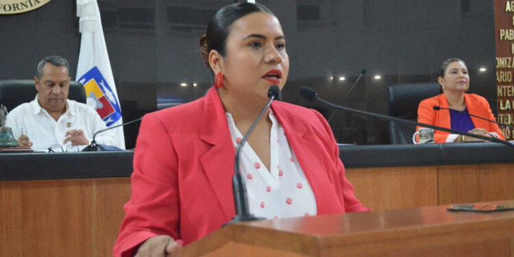 Propone la Diputada Guadalupe Vázquez Jacinto reformas a la Ley Estatal de Desarrollo Urbano en materia de urbanización y videovigilancia