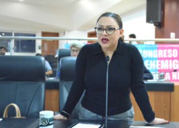 Pide la diputada Paz Ochoa intervención del Ejecutivo para atender el acuífero de San Juan Londó