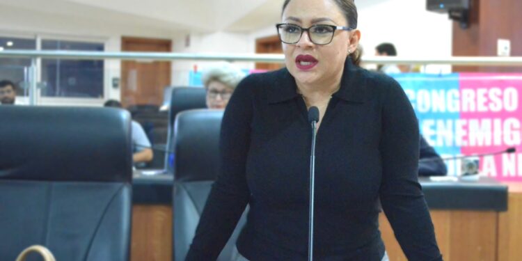 Pide la diputada Paz Ochoa intervención del Ejecutivo para atender el acuífero de San Juan Londó