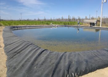 TRABAJA SEPADA EN PROYECTOS PARA LA CONSERVACIÓN DEL AGUA