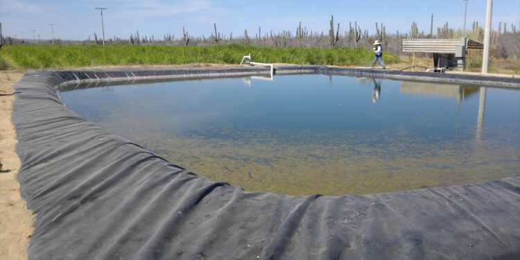 TRABAJA SEPADA EN PROYECTOS PARA LA CONSERVACIÓN DEL AGUA
