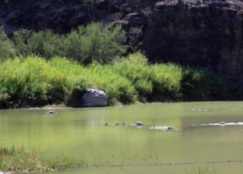 PRESENTA SEPADA PLAN HÍDRICO PARA BAJA CALIFORNIA SUR