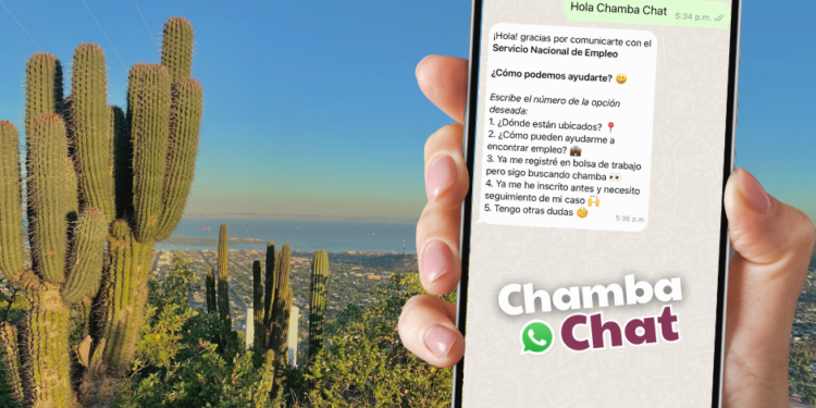 INICIA OPERACIÓN EL CHAMBACHAT: SNE BCS