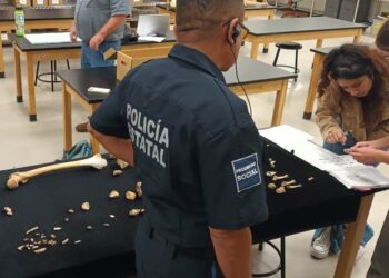 UNIDAD CANINA DE LA POLICÍA ESTATAL REALIZA VIAJE DE ESTUDIOS A UNIVERSIDAD DE TEXAS