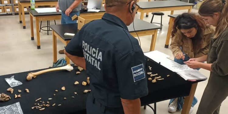 UNIDAD CANINA DE LA POLICÍA ESTATAL REALIZA VIAJE DE ESTUDIOS A UNIVERSIDAD DE TEXAS