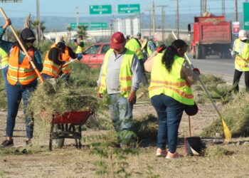 Limpia Servicios Públicos los camellones y accesos en la carretera hacia el aeropuerto