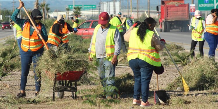 Limpia Servicios Públicos los camellones y accesos en la carretera hacia el aeropuerto