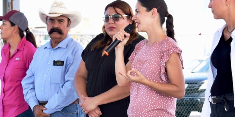 Se prepara Puerto Chale para la temporada de avistamiento de la ballena gris 2024